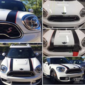 Dual Racing Stripes